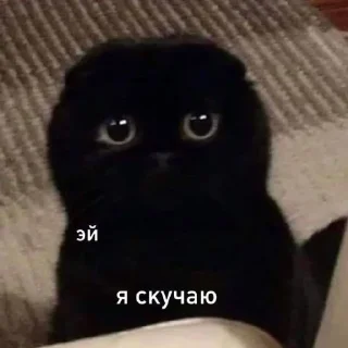 🥺