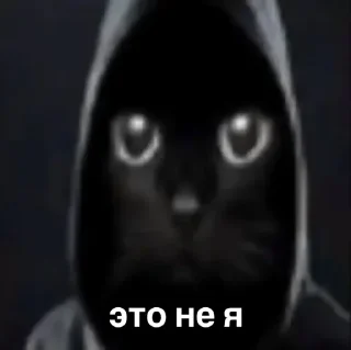 😎