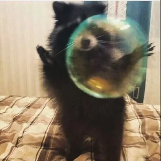 🙂