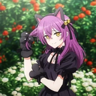 😽
