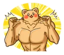 💪