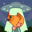 🛸