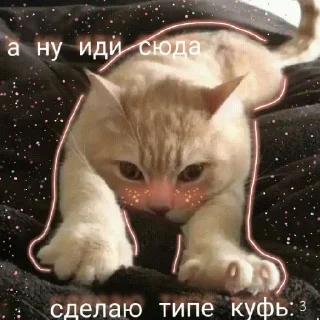 🤍