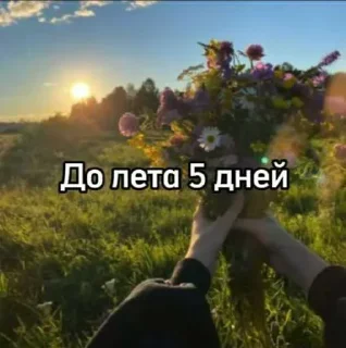 ☀️