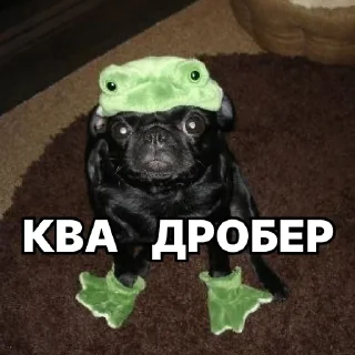 🐸