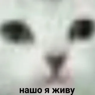 🙁