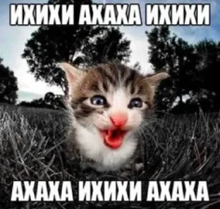😁