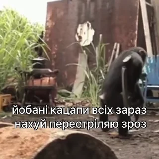 👿