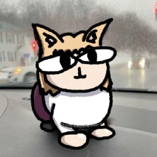 😾