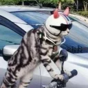 😎