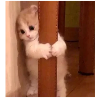 🥺