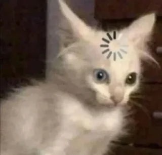 🫠