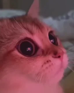 😍