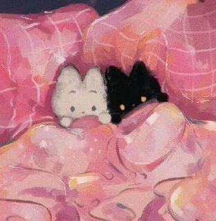 😴