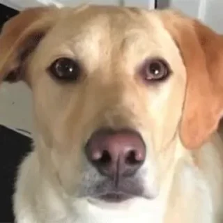 👀