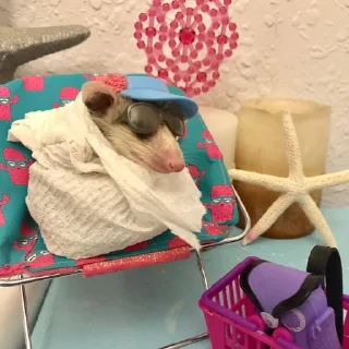 😎