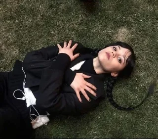 🕸