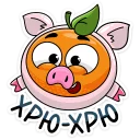 🐷