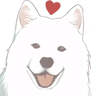 😍
