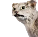 😨