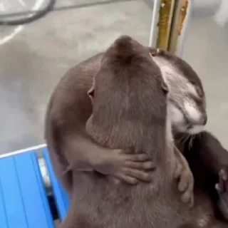 🥰