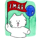 🎉