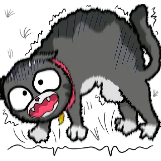 😨
