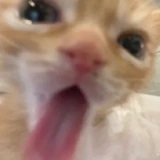 😛