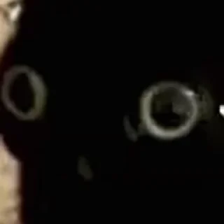 Коты япии!!