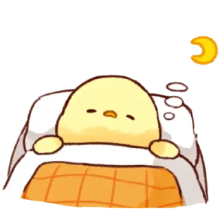 🌙