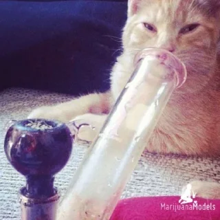 🥦
