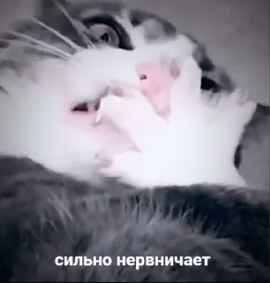 😩