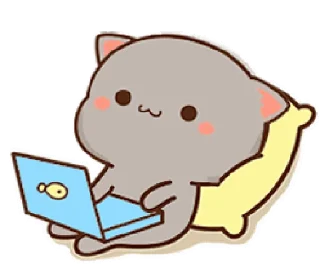 💻