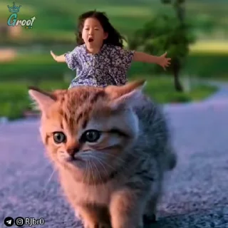 😊