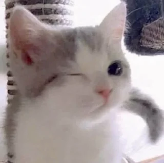 😉