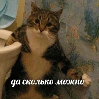 😓