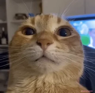 ⁉