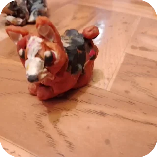 🐶