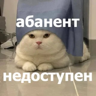 ✋