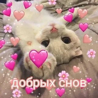 😴
