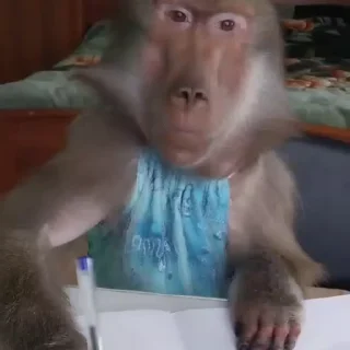 ✍