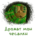 🐛