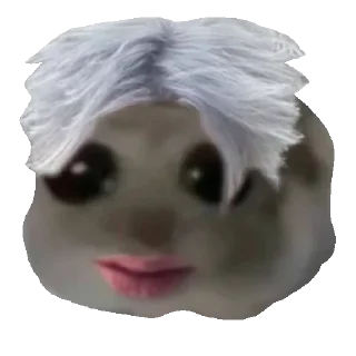 👩‍🦳