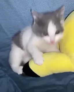 😠