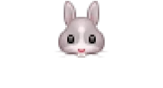 🐰