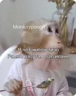 🌟