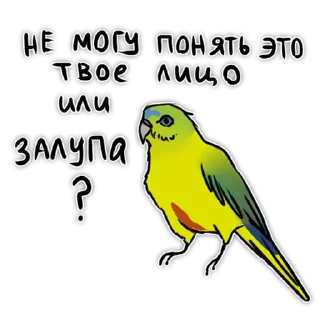 🤔