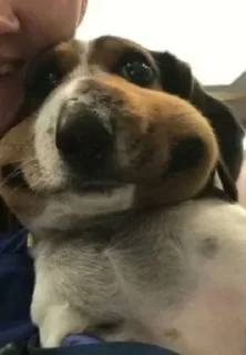 😃