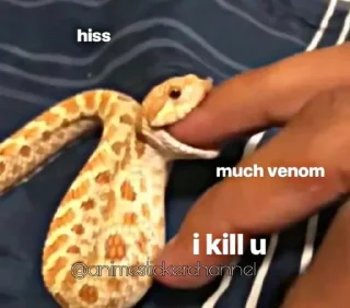 😡