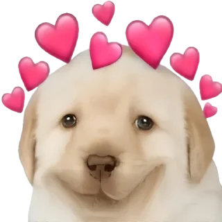 🥰